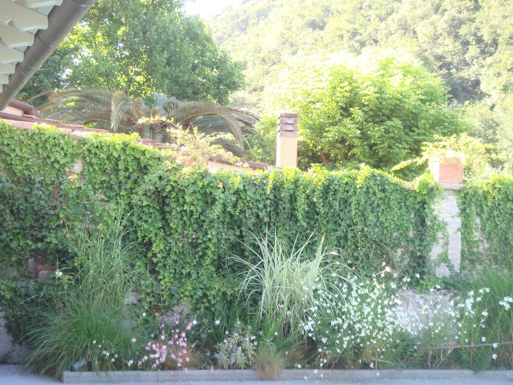 B&B Pieve Degli Artisti Pietrasanta Exterior foto